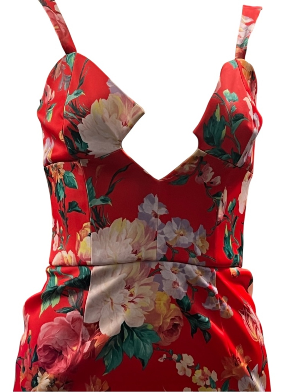 Again Los Angeles Dylan Bustier Dress Flower Print - Picture 4 of 9